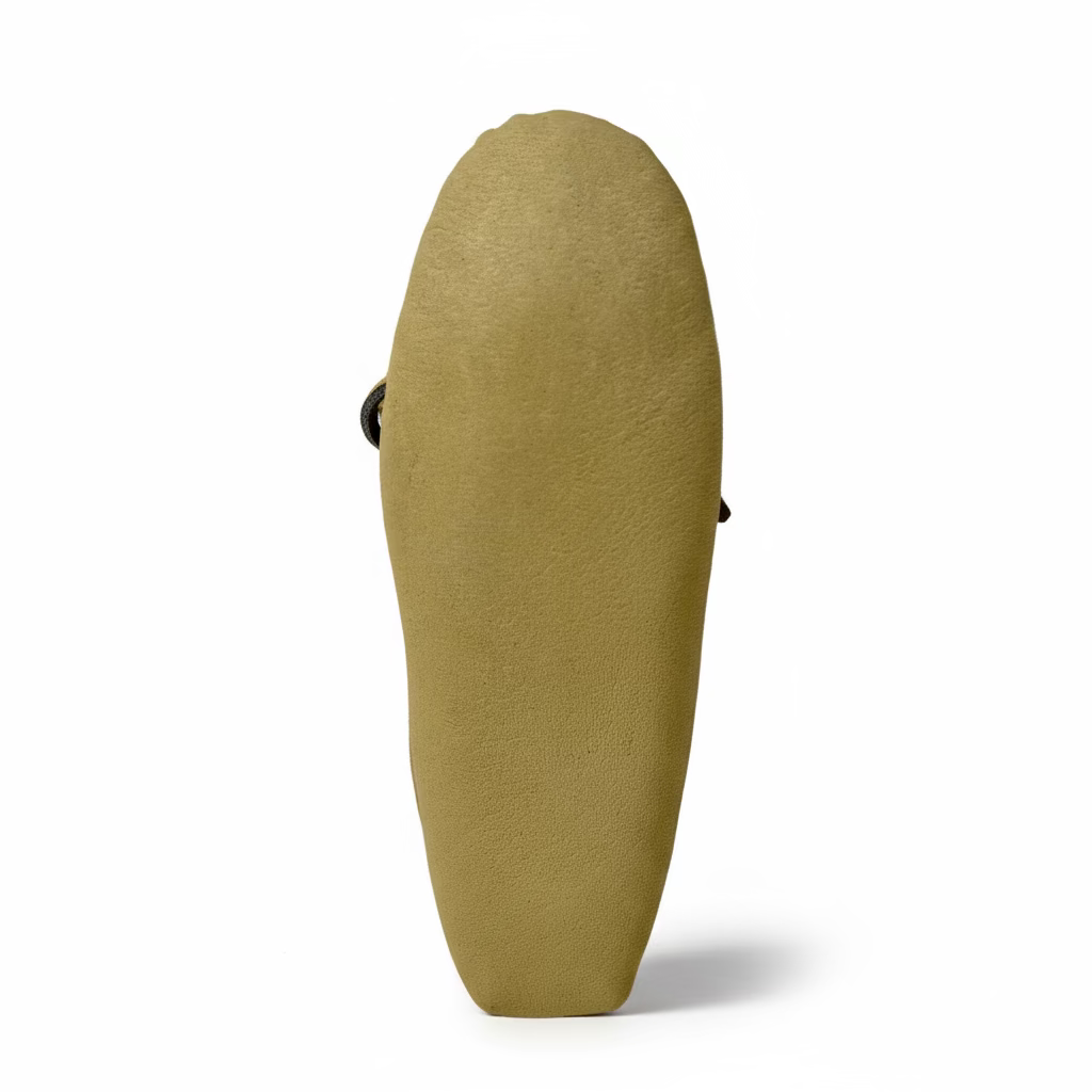 Beige mossins sole on a white background