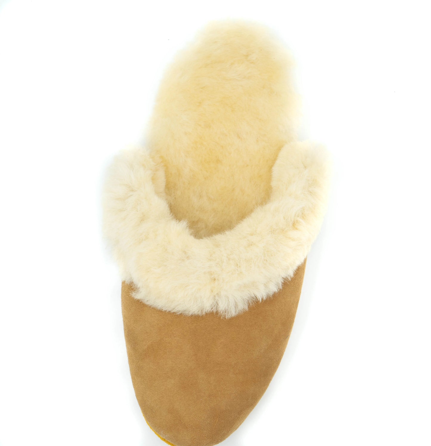 Tan slipper with white fur lining on a white background